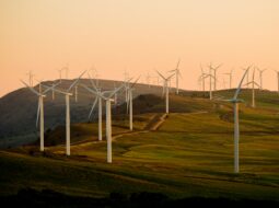 Energy Security